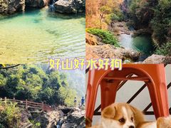 -南海湾森林生态园