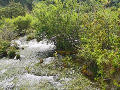 -叠溪松坪沟景区