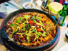 -老板恋上鱼(恒隆广场店)