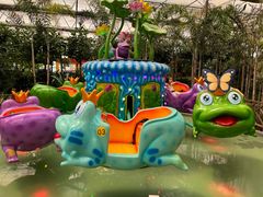 -南宫五洲植物乐园