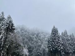 -龙苍沟森林公园