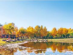 -长春公园(普阳街道)