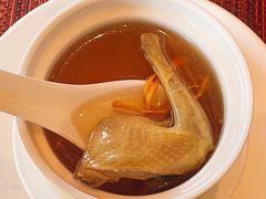 虫草花螺片炖乳鸽-林芝工布庄园希尔顿酒店-猎味中餐厅
