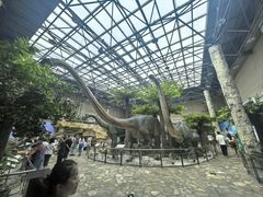 -国家自然博物馆