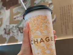 -霸王茶姬(上海浦东机场店)