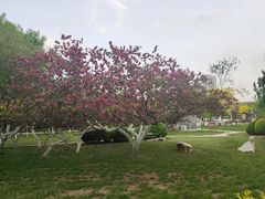 -南翠屏公园