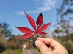 -桤木河湿地公园