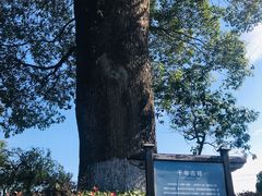 -韩湘水博园