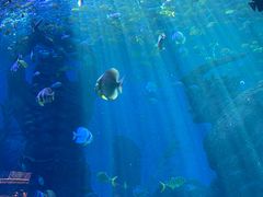 -波塞冬旅游度假区