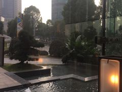 -丽晶轩中餐厅(重庆丽晶酒店)