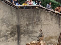 -昆明动物园
