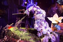 -北京嘉里大酒店·宴会厅婚宴·户外婚礼·生日宴