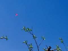 -云漫湖生态度假公园