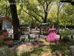 -上海共青森林公园