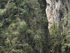 -大七孔景区-天生桥
