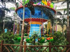 -南宫五洲植物乐园