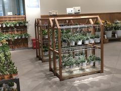 -鹿岛会员店 (龙湖三千集天街店)