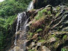-少华山国家森林公园