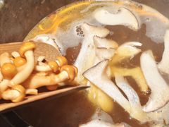 -芸山季·云南山珍菌火锅(人民广场来福士店)