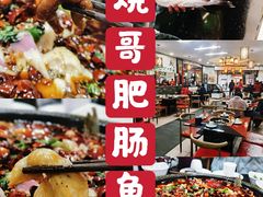 -烧哥美蛙肥肠鱼火锅·十五年社区店