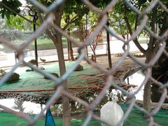 -陕西自然博物馆