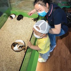 -未来动物城动物主题公园(大悦城店)