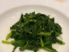 酒香豆苗-老吉士酒家(天平路店)
