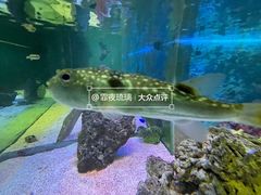 -重庆欢乐海底世界