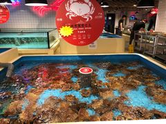 -日进一片海.生腌海鲜火锅.宵夜烧烤(三里屯总店)