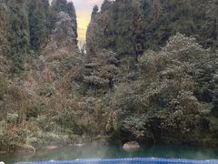 -龙苍沟森林公园