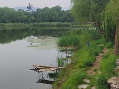 -北坞公园
