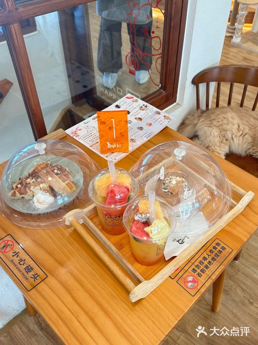 猫小主咖啡·猫咖cat cafe(福田店)图片