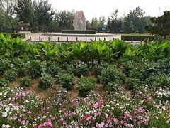 -绿堤公园