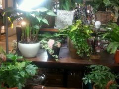 -万达广场(南京江宁店)