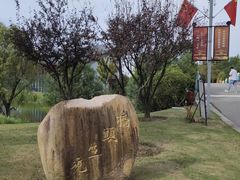 -上海长兴岛郊野公园