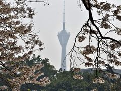 -红星桥(地铁站)