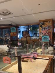 -造物庄园 萌宠纪(苏州湾歌林公园店)