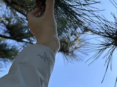 -九如山休闲旅游度假区