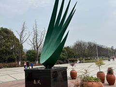 -白塘生态植物园