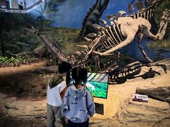 -自贡恐龙博物馆