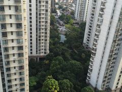 -新湖明珠城
