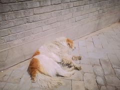 -丹噶尔古城