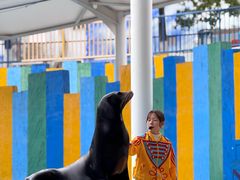-海合安成都极地海洋公园