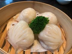 -御花园酒店(希尔顿店)