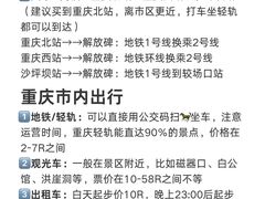 -烤匠麻辣烤鱼(观音桥大融城店)