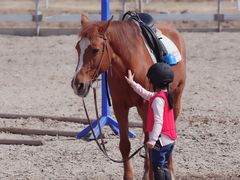 -月河湾马术俱乐部(朝阳店)