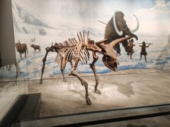 -辽宁古生物博物馆