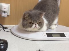 -瑞派康怡24h宠物医院·犬猫医疗中心·微创绝育(瑞景分院)