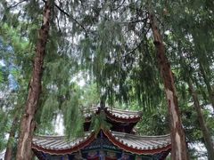 -总统兵马大元帅府