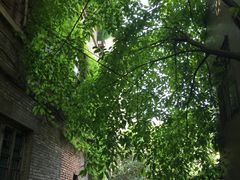 -启工街(地铁站)